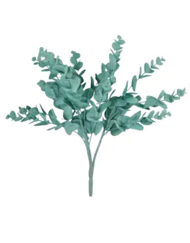 Blue green Eucalyptus Greenery bush