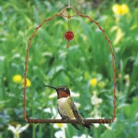 Copper Hummingbird Swing