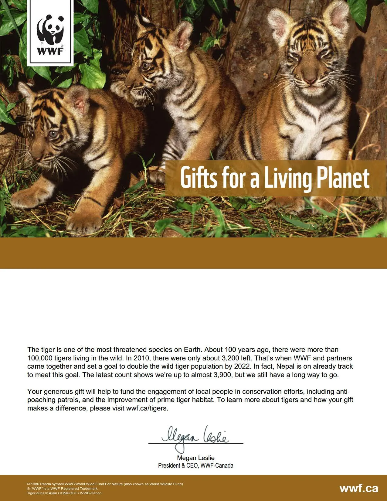 give a tiger a fighting chance