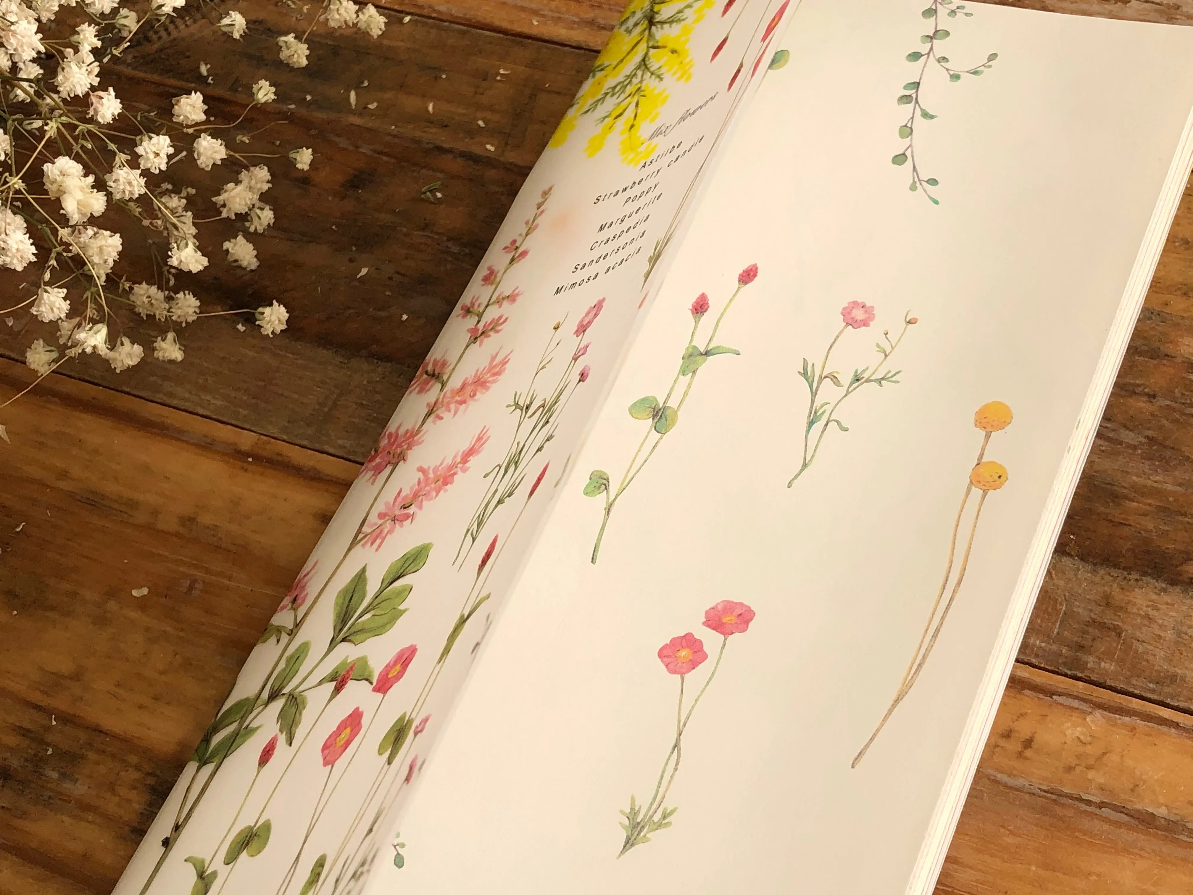 Handmade Slim Notebook / Color notes of warm flowers
