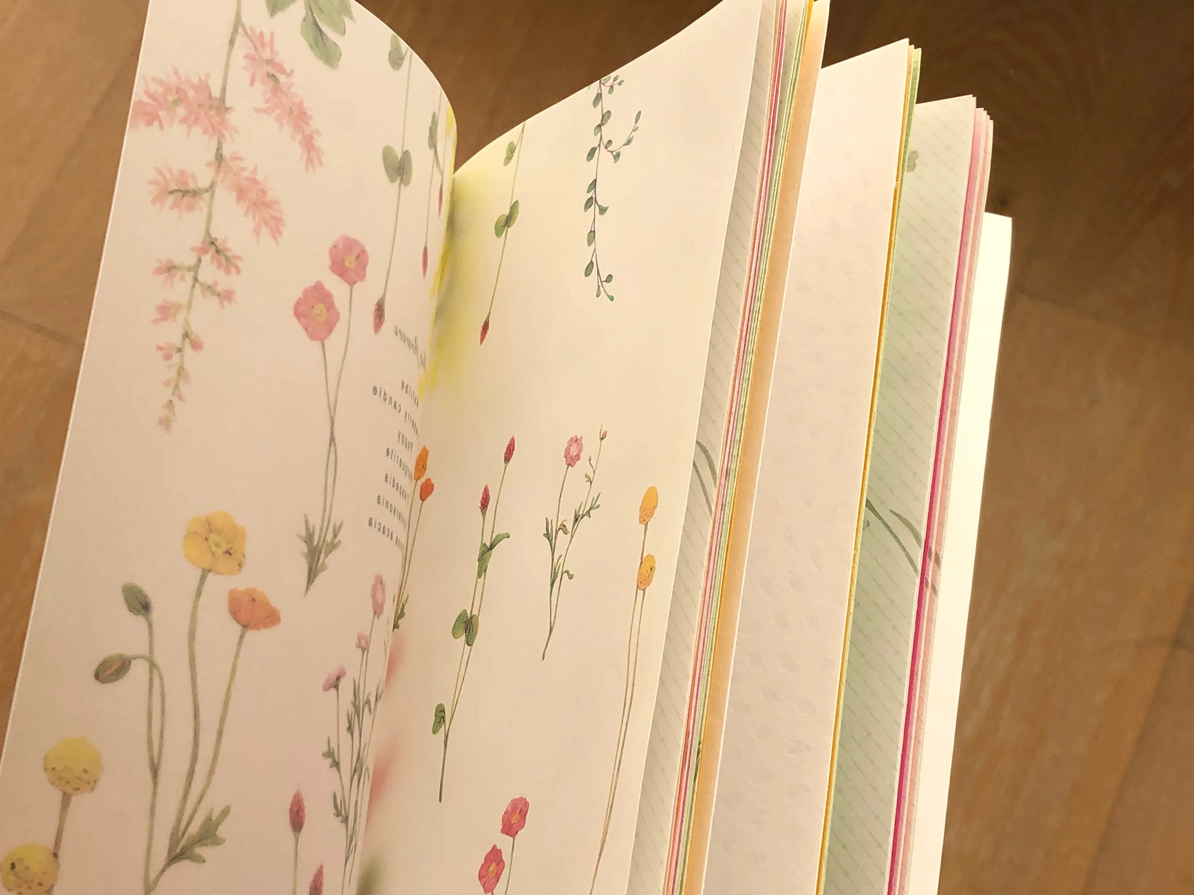 Handmade Slim Notebook / Color notes of warm flowers