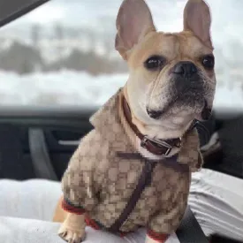 TrendyHoodie with Lining Dog Clothing