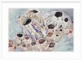 Warm Barnacles