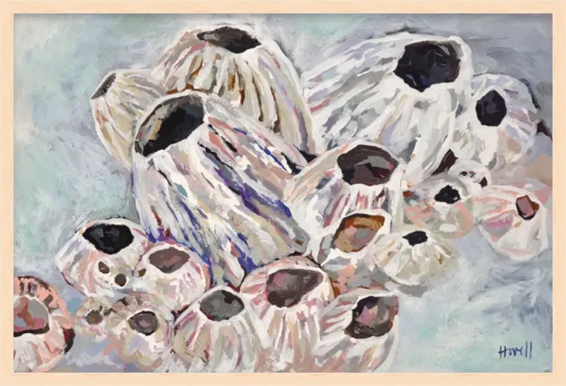 Warm Barnacles