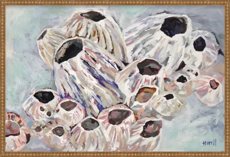 Warm Barnacles